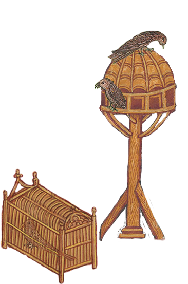dovecot