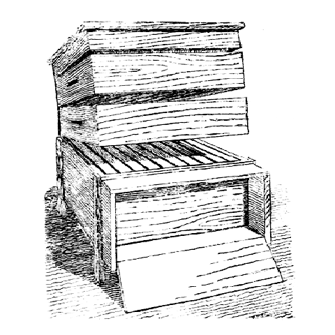 image of hive