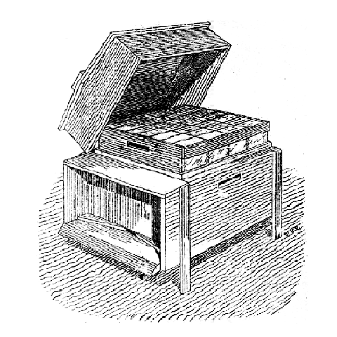 image of hive